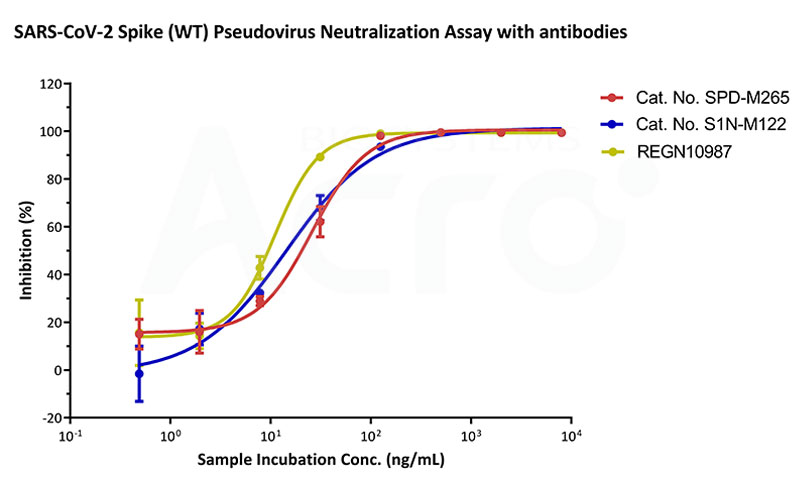 使用新冠假病毒（原始株）分别评价3种抗体在37℃条件下的中和活性