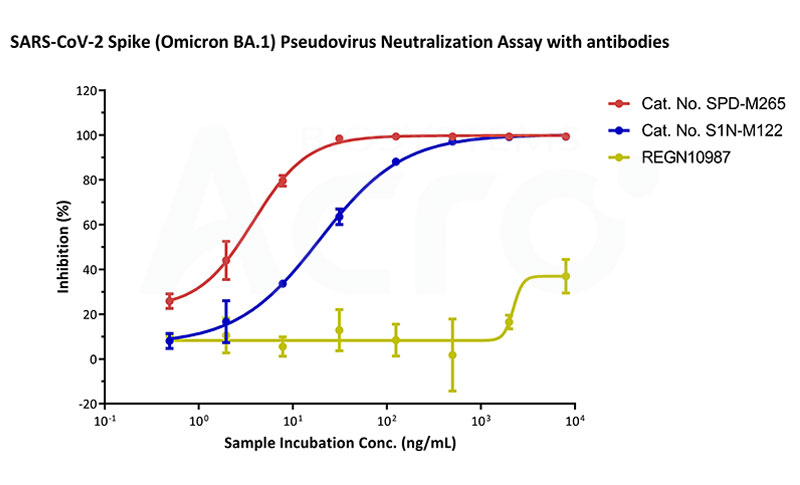 使用新冠假病毒（奥密克戎 BA.1突变株）分别评价3种抗体在37℃条件下的中和活性