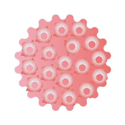 人乳头状瘤病毒（HPV）