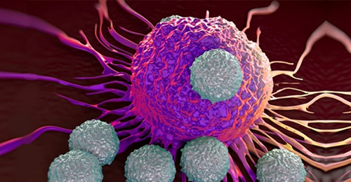 iPSC-T细胞