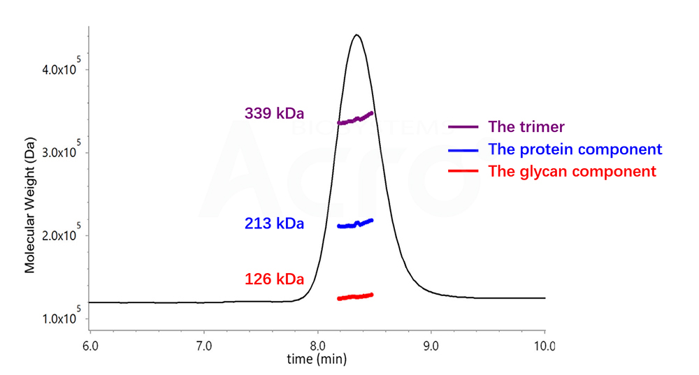 SEC-UV-dRI-MALS测定三聚体的结果