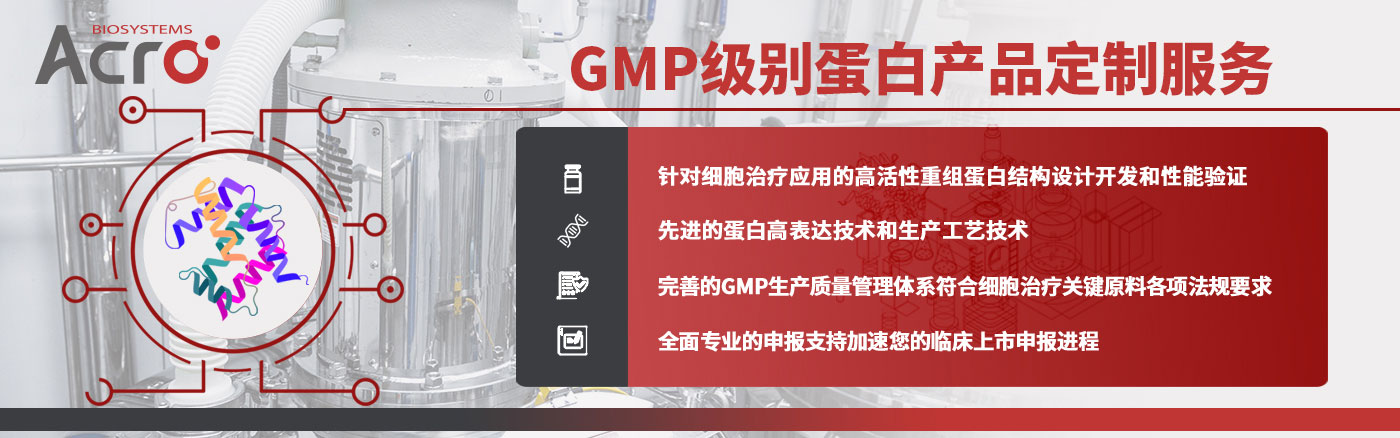 GMP级别蛋白产品一站式开发服务