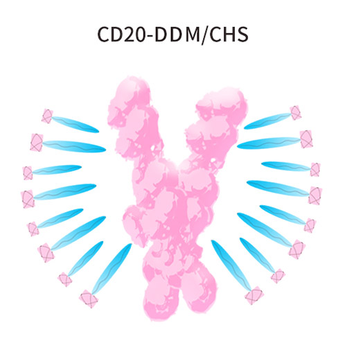 CD20-DDM/CHS
