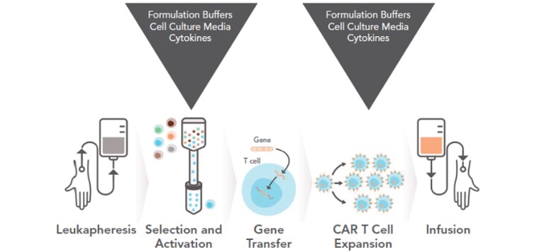 CAR-T药物开发过程中需要细胞因子等培养用原料
