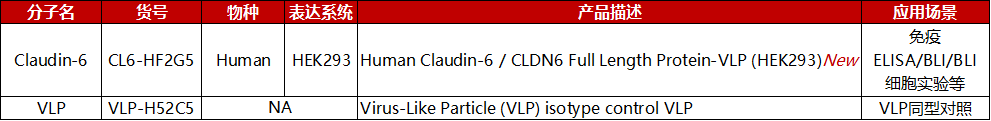 全长Claudin 6蛋白相关产品