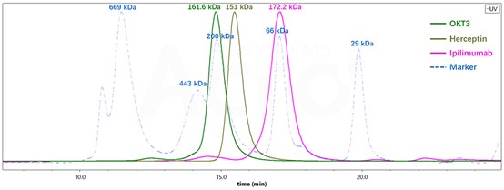 不同抗体的SEC-HPLC分子量测定结果