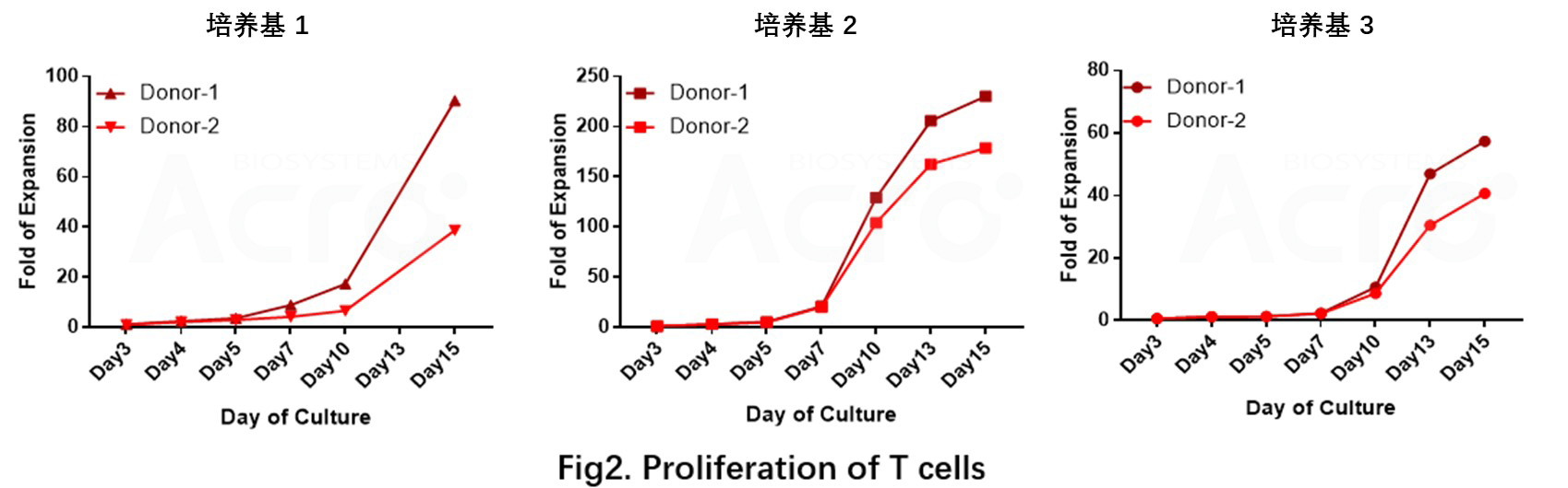 T细胞增殖效果
