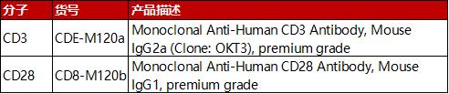 OKT3抗体和抗CD28抗体
