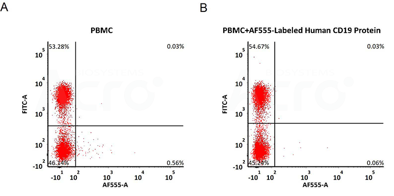 PBMC细胞双染批检测验证