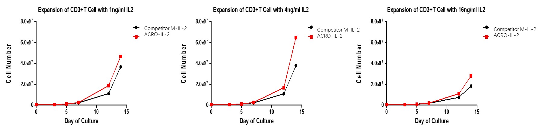 IL-2细胞因子高活性扩增培养T细胞