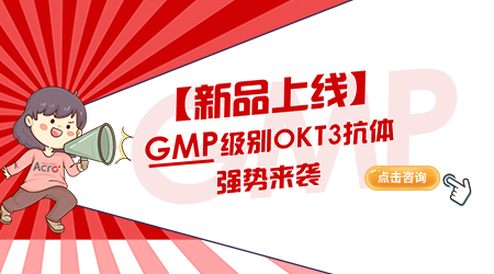 【新品上线】GMP级别抗CD3单抗（OKT3）现货发售!