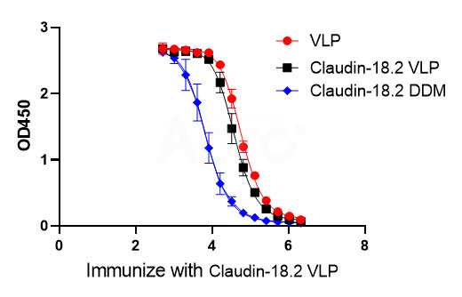 特异性抗体（以Claudin 18.2-VLP为例）