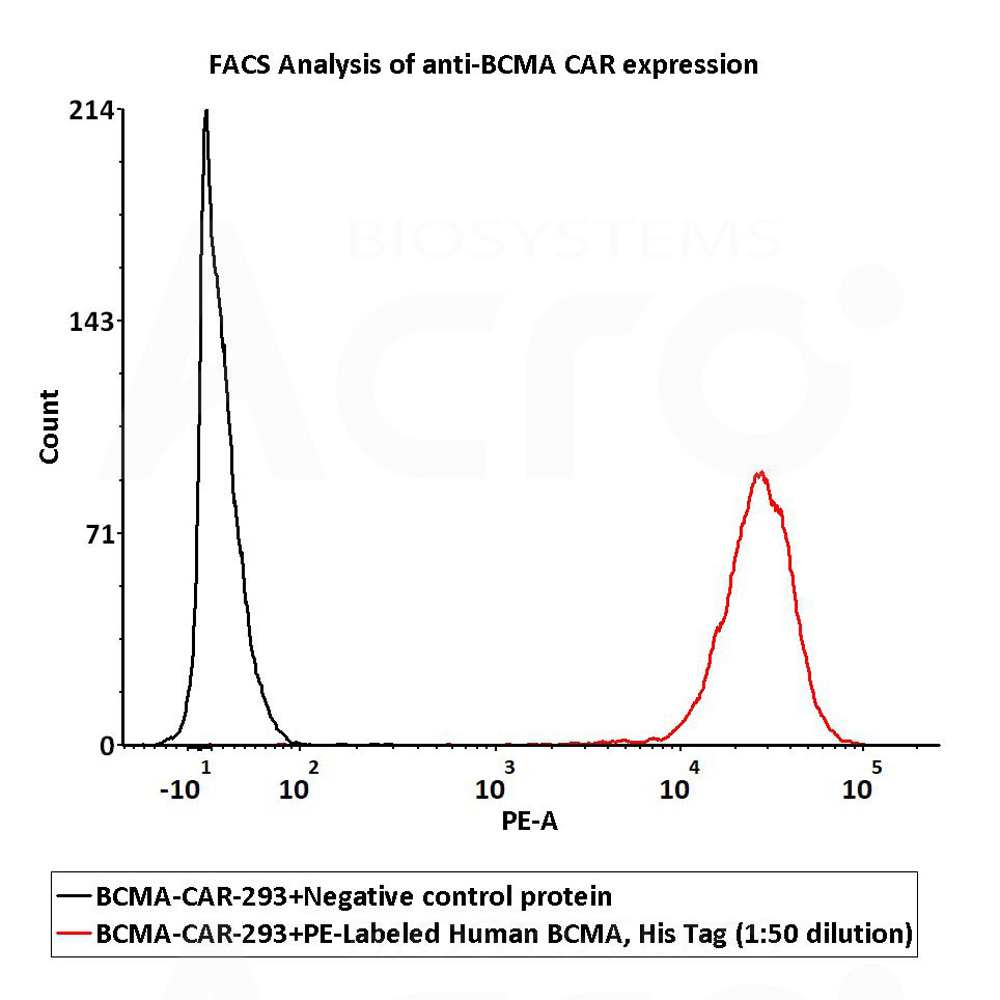 FDA DMF备案 PE标记BCMA可高灵敏检测CAR表达