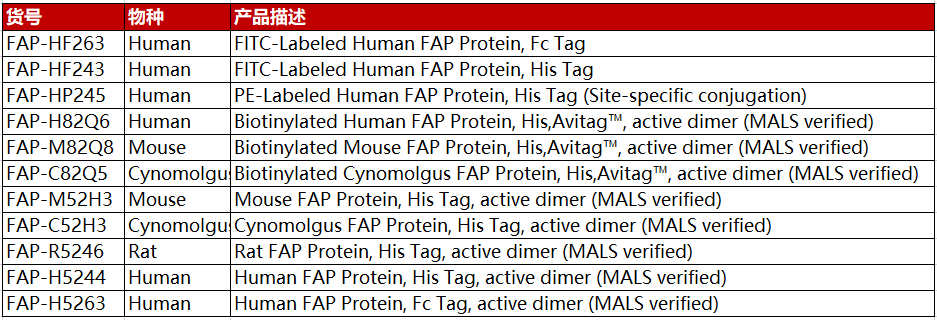 FAP蛋白特点