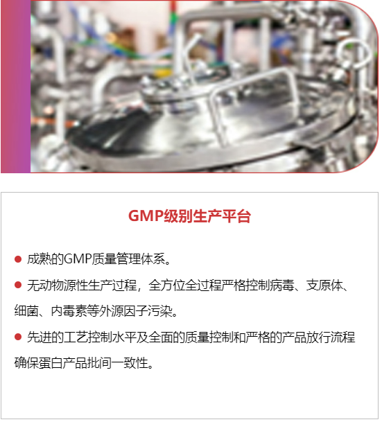GMP级别生产平台