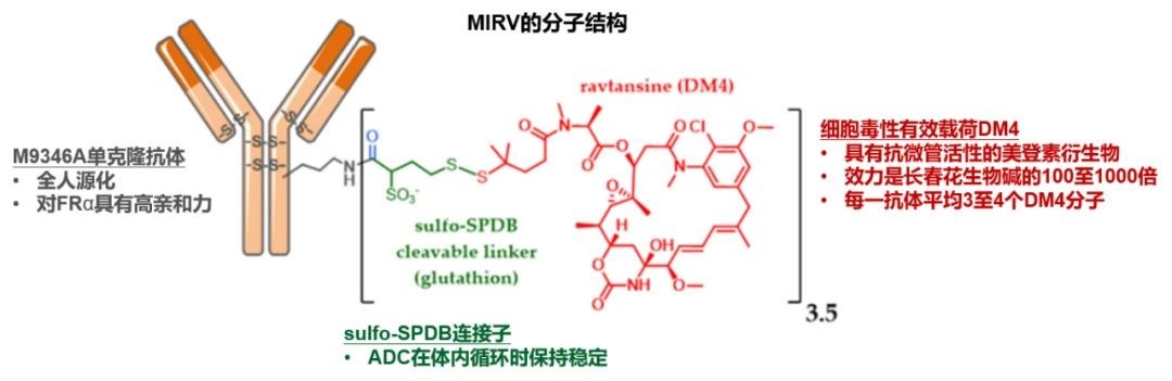 Mirvetuximab soravtansine分子结构
