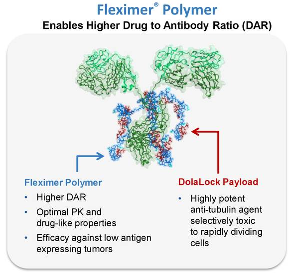 Fleximer' Polymer可以显著增加DAR值