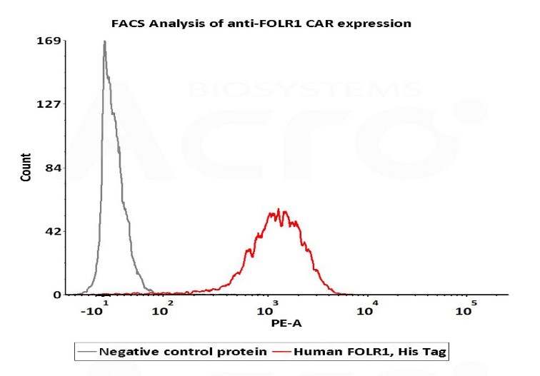 FRα蛋白高生物活性经FACS验证