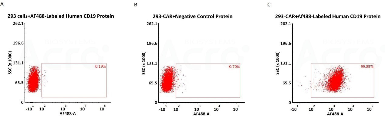 高灵敏和高特异性，经CD19类CAR细胞株批检验证