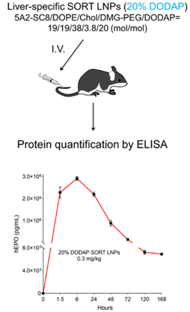分泌蛋白的mRNA递送方案