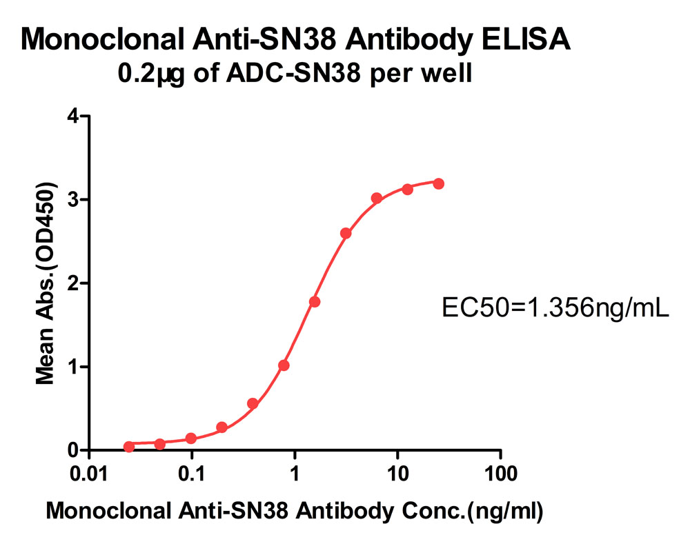抗SN38抗体检测