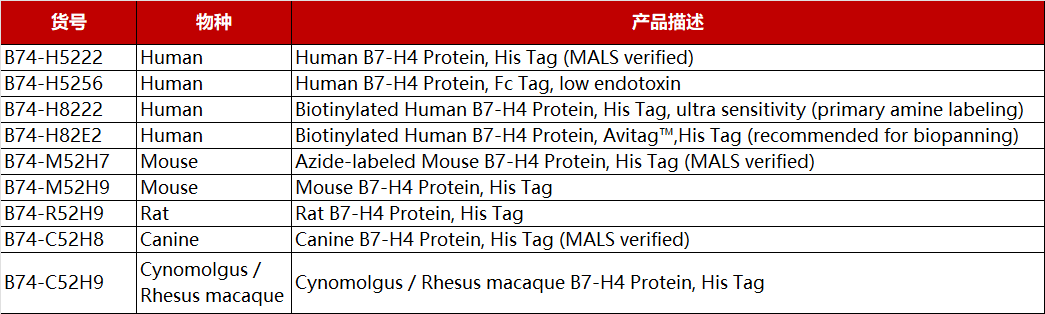 B7H4产品列表
