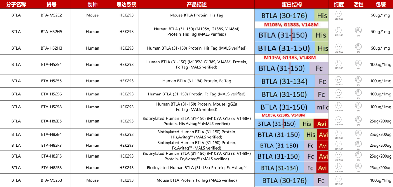 BTLA重组蛋白产品列表