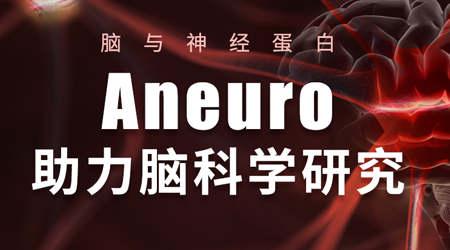【Aneuro新品·磷酸化Tau】与您共启AD诊疗新视角
