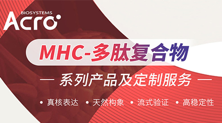 MHC-多肽复合物四聚体——深挖HPLC纯度控制要点