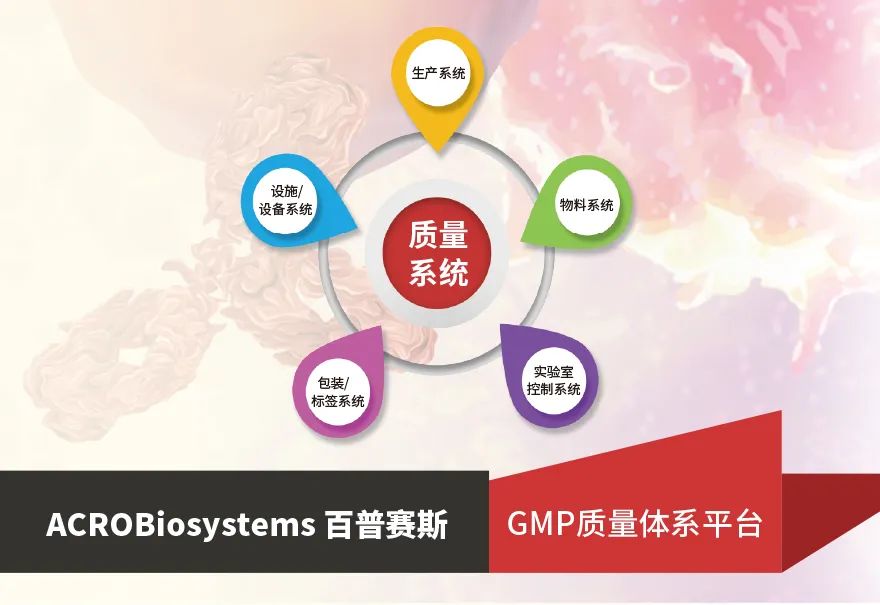 GMP级别重组DLL4蛋白