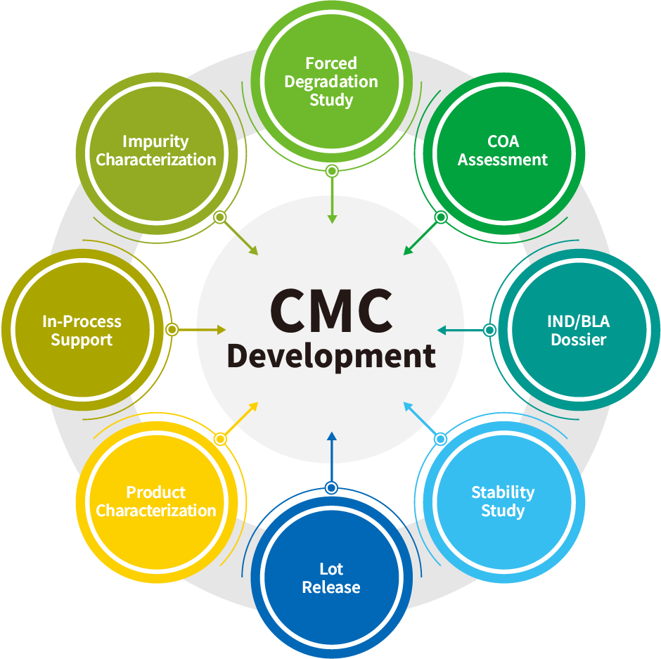 药物开发CMC相关步骤