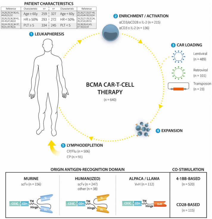 用于MM患者的BCMA CAR-T细胞疗法