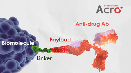 多样化有效载荷：拓展ADC药物领域又一关键推动力