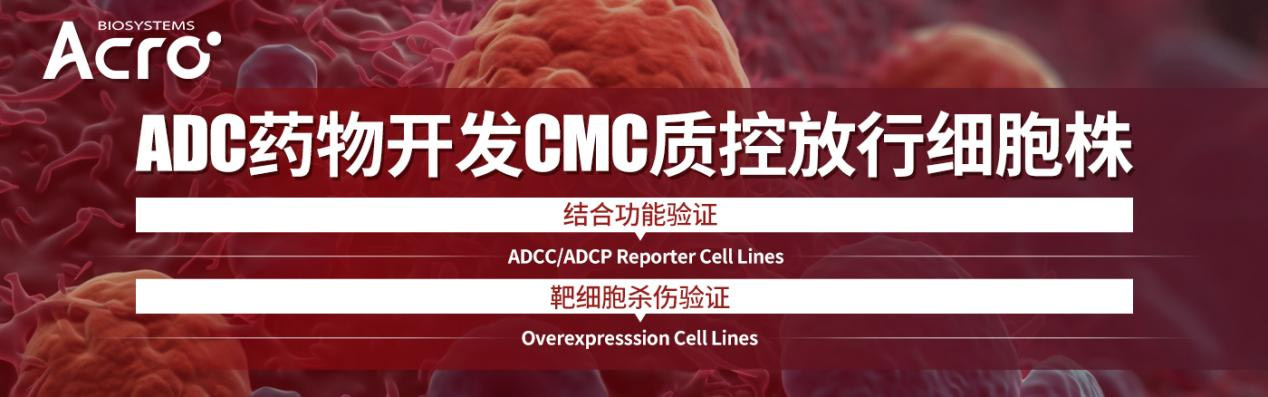 ADC药物开发CMC质控放行细胞株