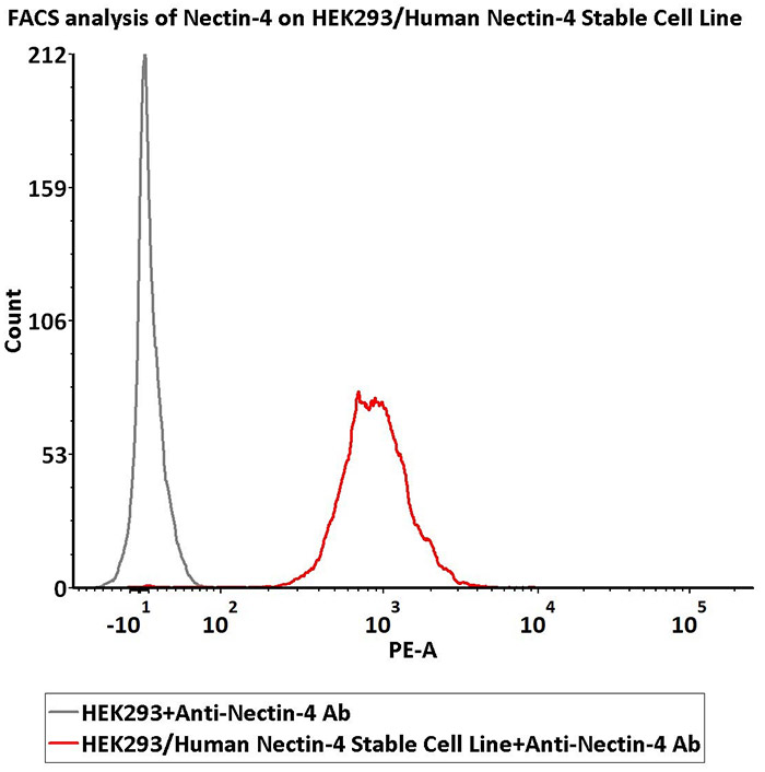 Nectin-4过表达细胞株活性验证-FACS