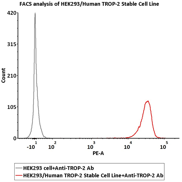 Trop-2过表达细胞株活性验证-FACS