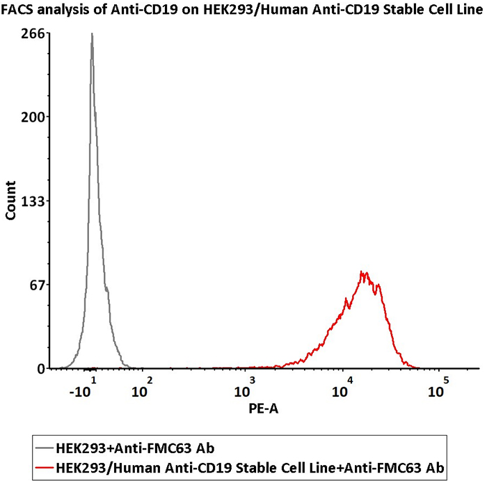 CD19过表达细胞株活性验证-FACS