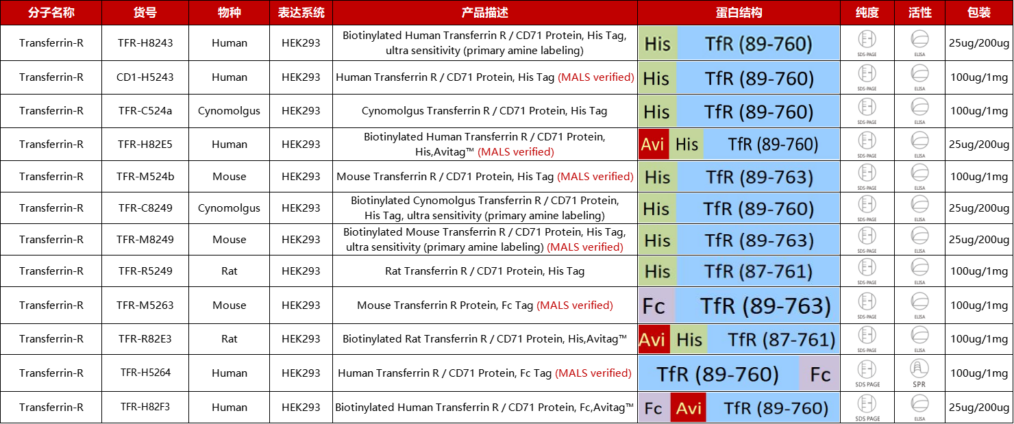 TFR1腹主动脉瘤关键靶点