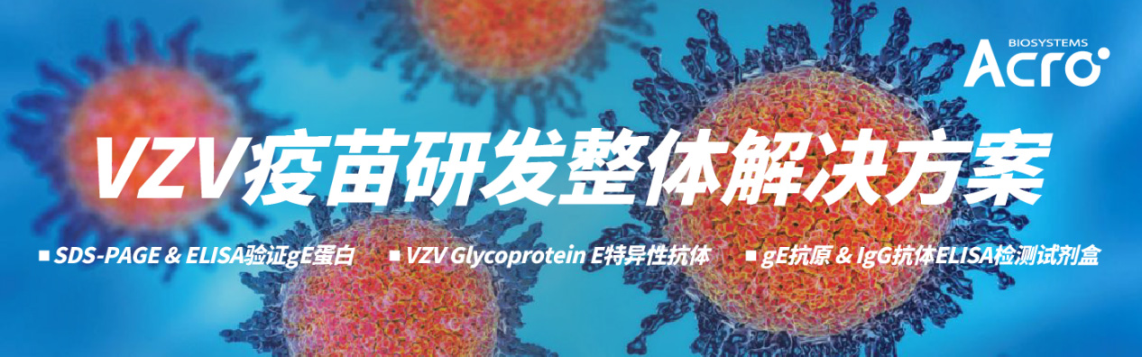 VZV疫苗研发整体解决方案