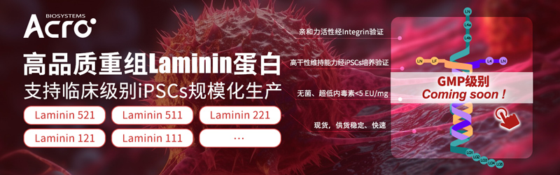 Laminin蛋白