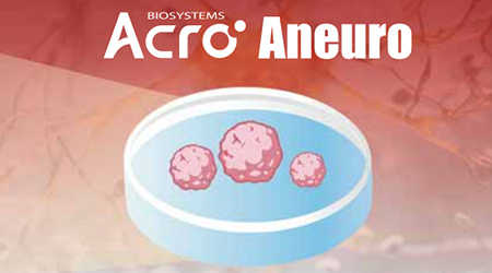 【Aneuro新品发布】脑类器官及分化试剂盒，为探索武装“脑力”