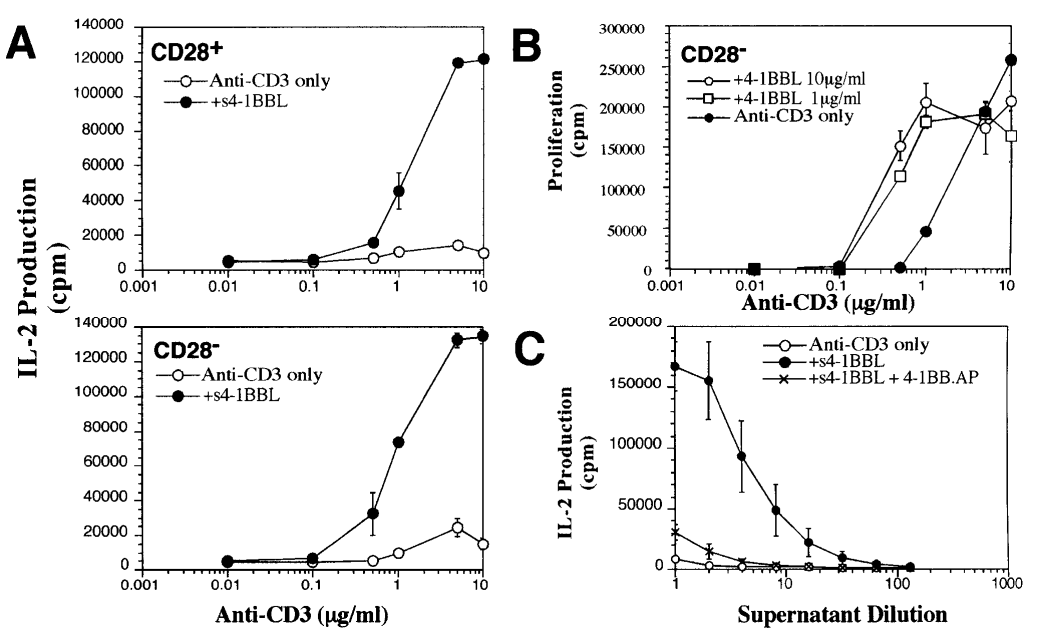 Immobilized s4-1BBL can costimulate proliferation and IL-2 production by CD28+ or CD28− T cells. J Exp Med. 1998;187(11):1849-1862.