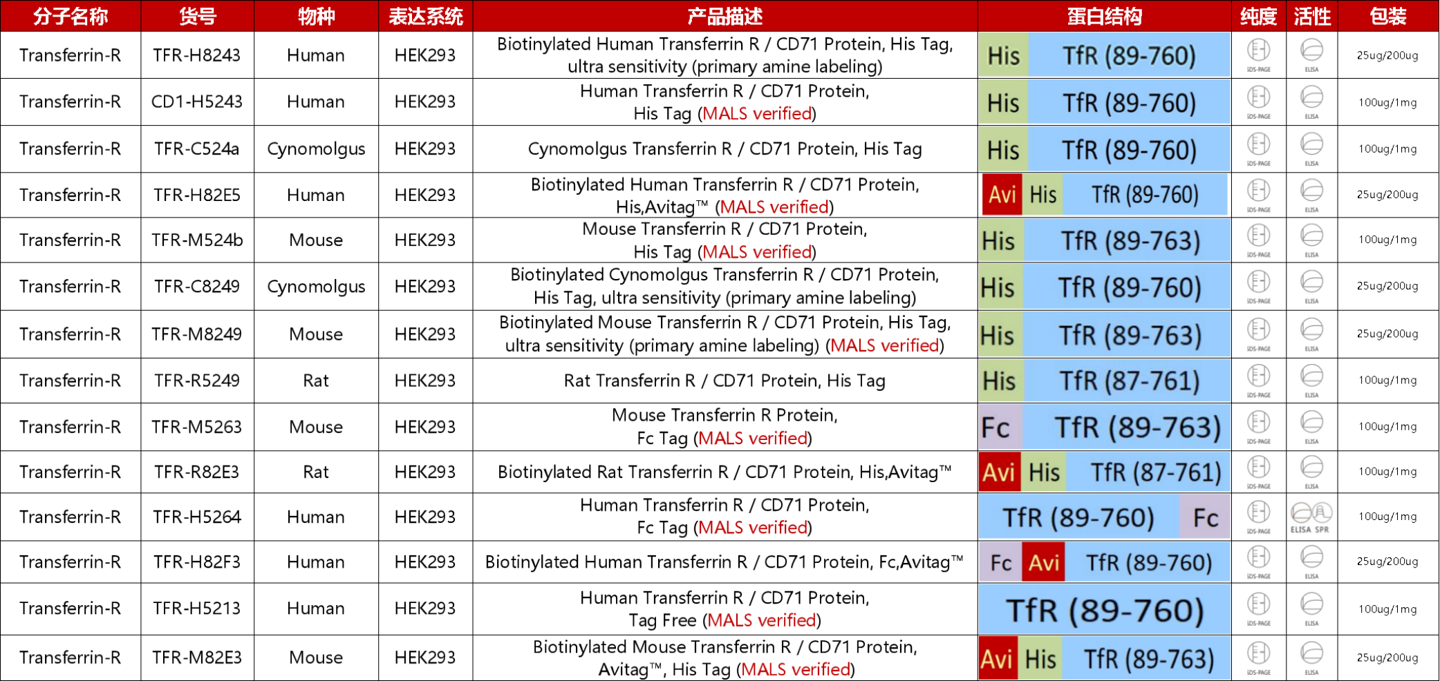 Transferrin-R重组蛋白